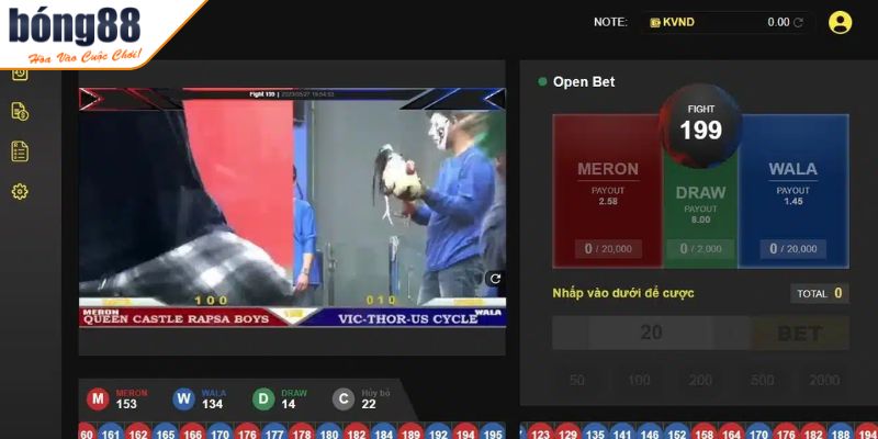 Vô vàn hình thức Đá Gà BONG88 hấp dẫn